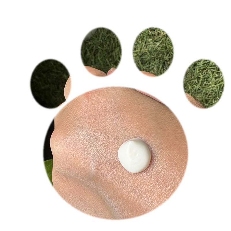 ALLIE Gel UV EX texture swatch in a cat paw shape