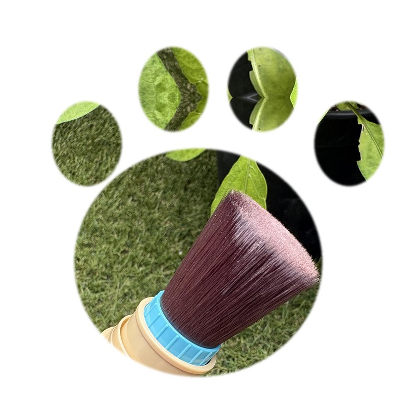 ANESSA Perfect UV Brush-On Powder brush in a cat paw shape