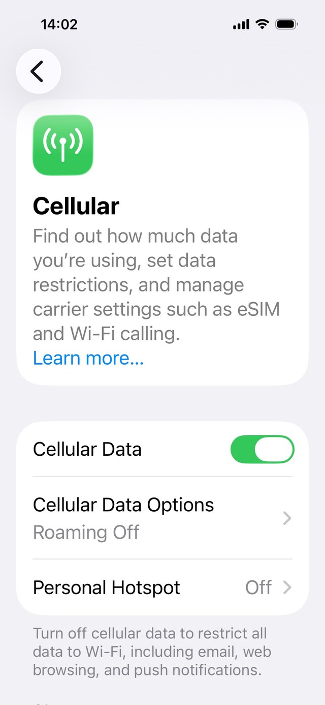 iPhone Cellular settings screen showing Cellular Data Options with roaming turned off