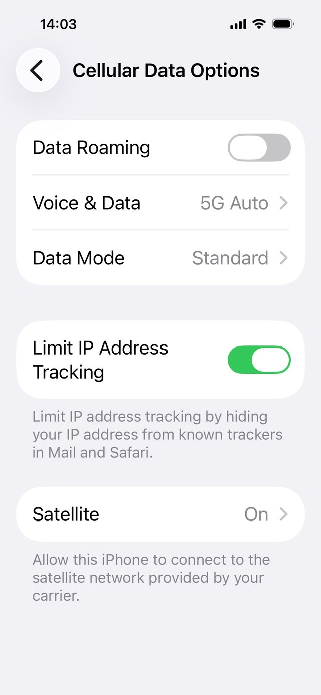 iPhone Cellular Data Options screen showing the Data Roaming switch
