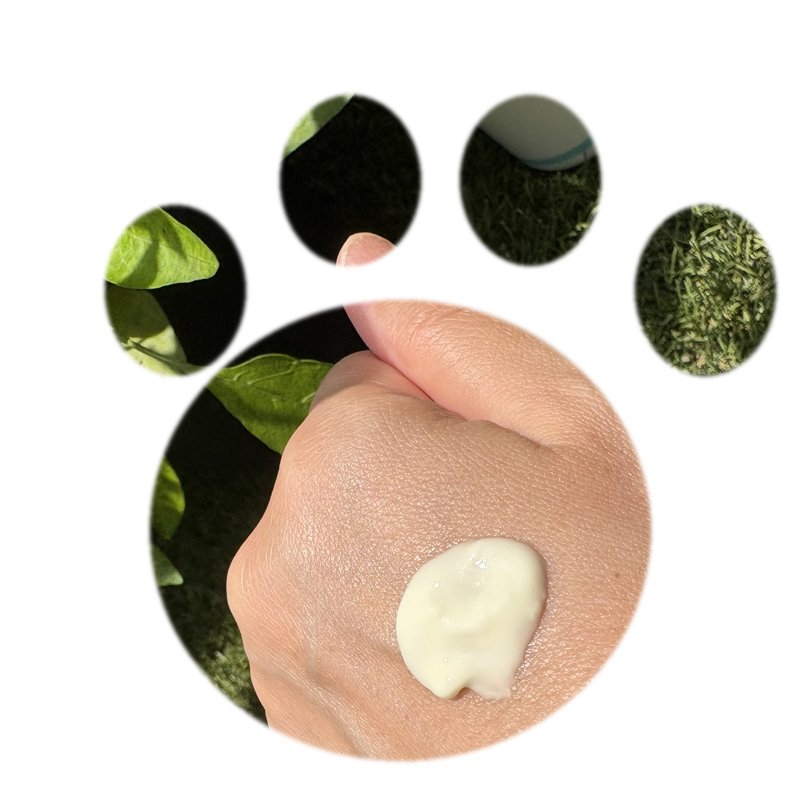 Shigaisen Yoho Sarasara UV gel texture swatch in a cat paw shape