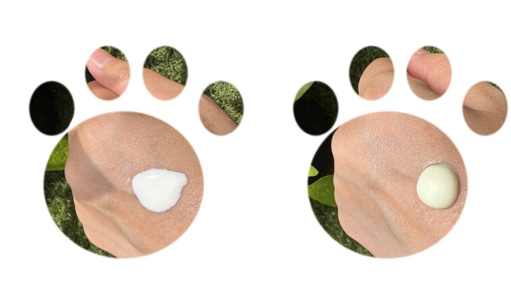 Swatches of Anessa Perfect UV Skincare Milk and Biore UV Aqua Rich Watery Essence side by side